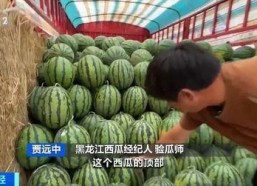 娱乐吃瓜香,吃瓜香背后的精彩故事